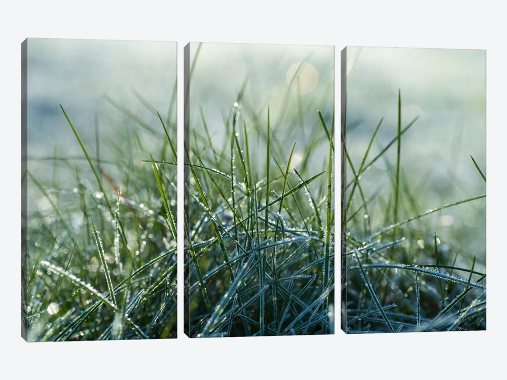 Frost III by Andreas Stridsberg 3-piece Canvas Wall Art