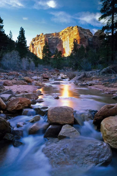 Bears Ears National Monument, Utah. USA. Creek in Arch Canyon. Manti-La Sal NF. Colorado Plateau.