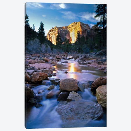 Bears Ears National Monument, Utah. USA. Creek in Arch Canyon. Manti-La Sal NF. Colorado Plateau. Canvas Print #STS2} by Scott T. Smith Canvas Art