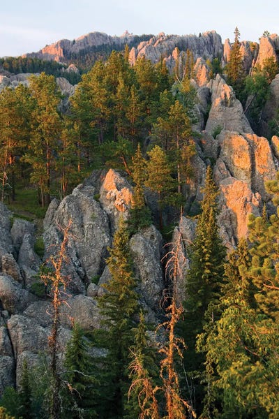 Black & Dark Art - Canvas Prints: Black Elk Wilderness, South Dakota. USA. Light Of Sunset On Granite Below Harney Peak. Black Hills National Forest. by Scott T Smith