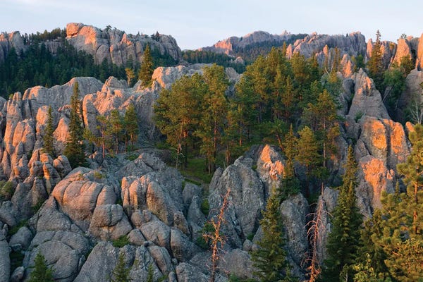 Black Elk Wilderness, South Dakota. USA. Light Of Sunset On Granite Below Harney Peak. Black Hills National Forest II