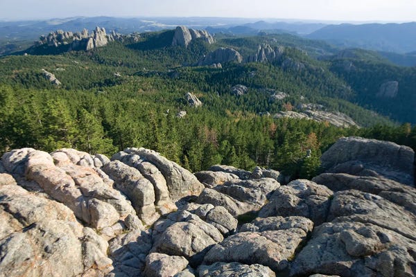 Black Elk Wilderness, South Dakota. USA. View From Summit Of Harney Peak. Black Hills. Black Hills National Forest
