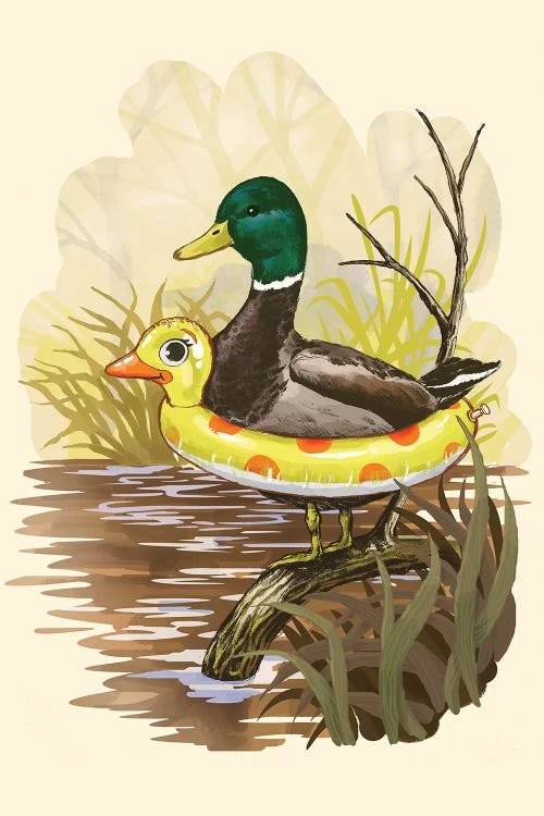 Duck In Training
