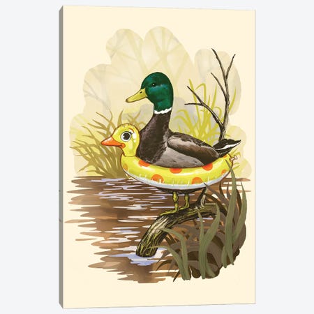 Duck In Training Canvas Print #STV16} by Steven Rhodes Canvas Art Print