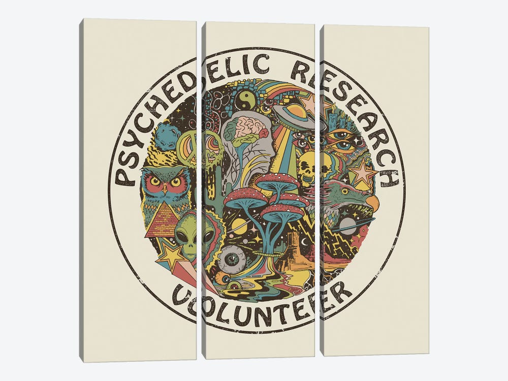 Psychedelic Research Volunteer by Steven Rhodes 3-piece Canvas Wall Art