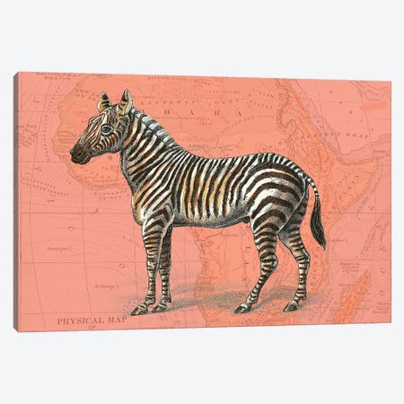 African Animals on Coral IV Canvas Print #STW105} by Studio W Canvas Artwork