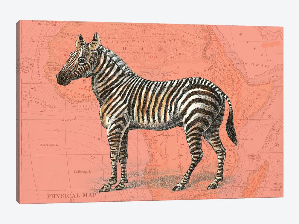 African Animals on Coral IV Art Print by Studio W | iCanvas