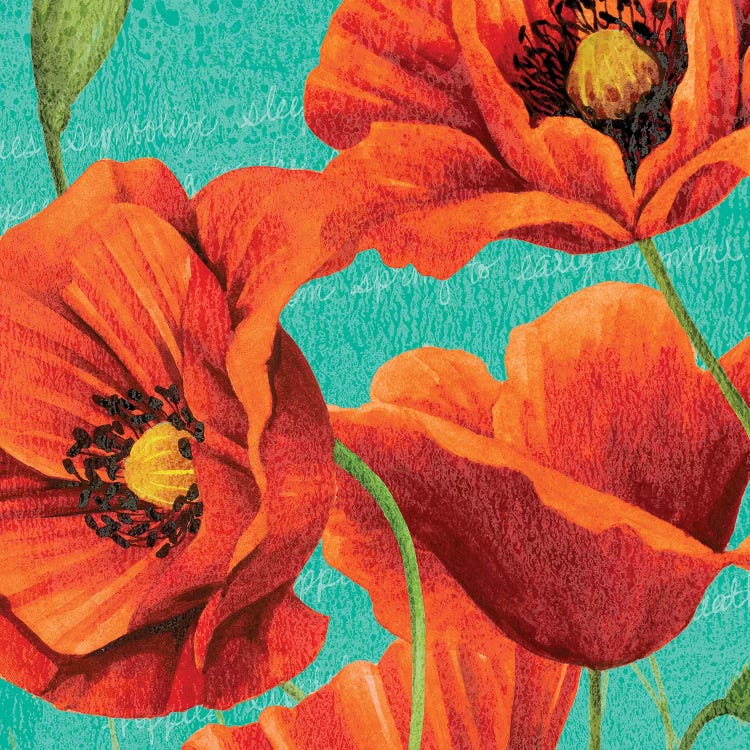 Red Poppies on Teal I