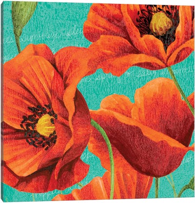 Red Poppies on Teal I Canvas Art Print