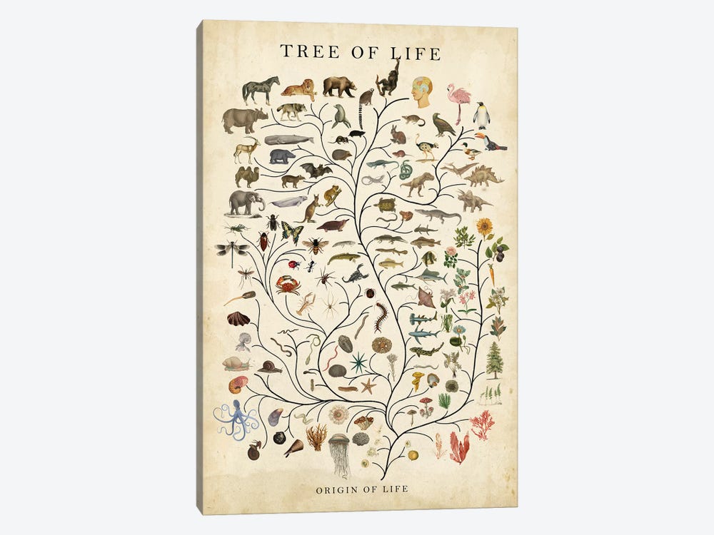 Tree of Life by Studio W 1-piece Canvas Artwork