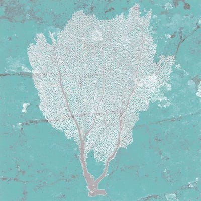 Graphic Sea Fan I by Studio W framed canvas print