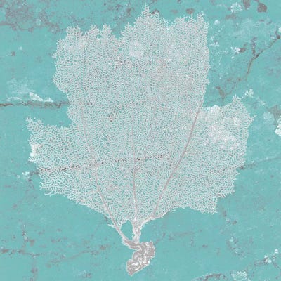 Graphic Sea Fan III by Studio W canvas print