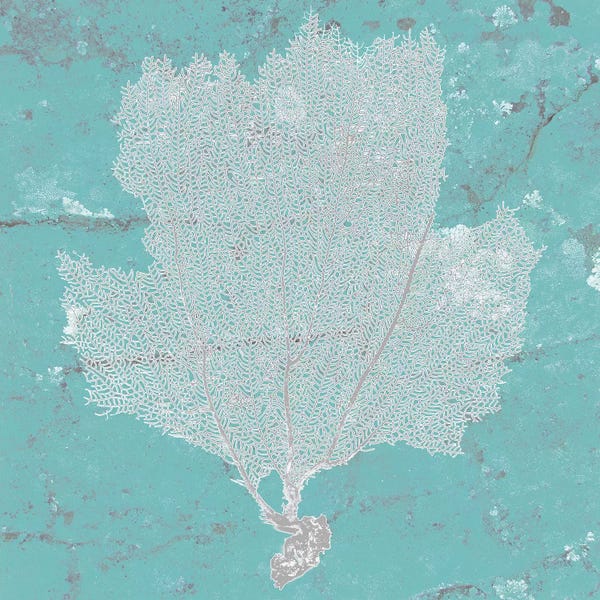 Coral: Graphic Sea Fan III by Studio W