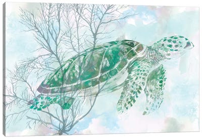 Watercolor Sea Turtle I Canvas Art Print - Coastal Living Room Art