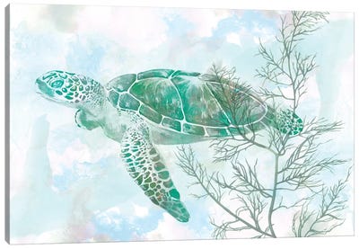 Watercolor Sea Turtle II Canvas Art Print - Sea Life Art