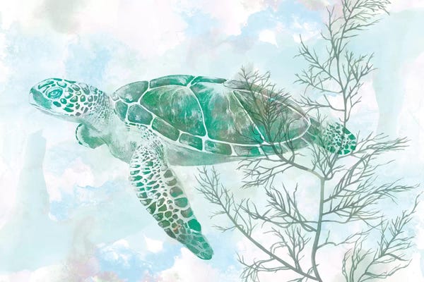Turtles: Watercolor Sea Turtle II by Studio W