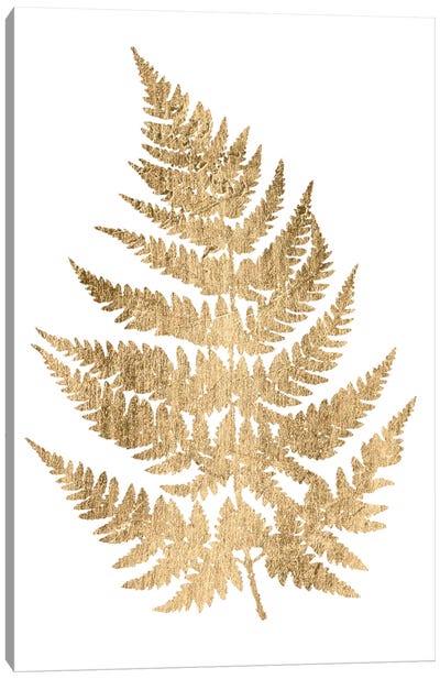 Graphic Gold Fern IV Canvas Art Print - Ferns