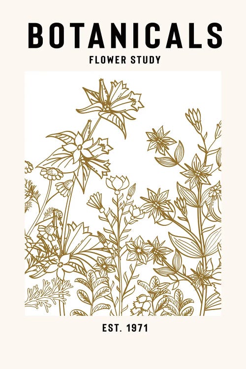 Botanicals Flower Study II by jay stanley wall art