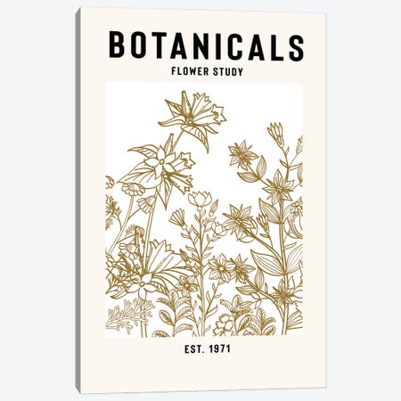 Botanicals Flower Study II Canvas Print #STY147} by Jay Stanley Art Print