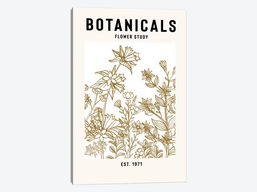 Botanicals Flower Study II by Jay Stanley 1-piece Canvas Art