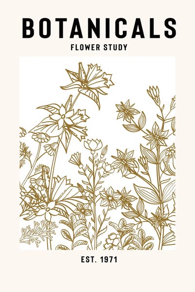 Organic Modern: Botanicals Flower Study II by jay stanley