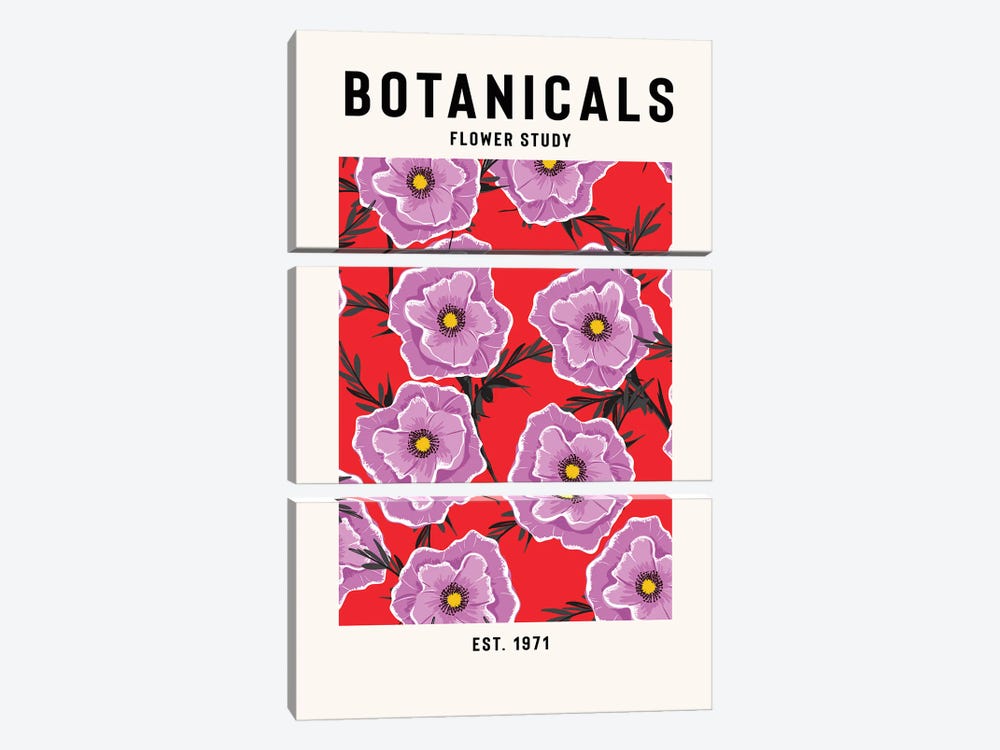 Botanicals Flower Study by Jay Stanley 3-piece Art Print