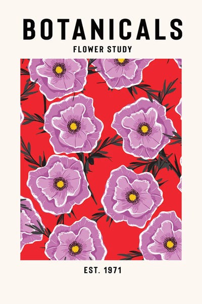 Botanical Illustrations: Botanicals Flower Study by jay stanley