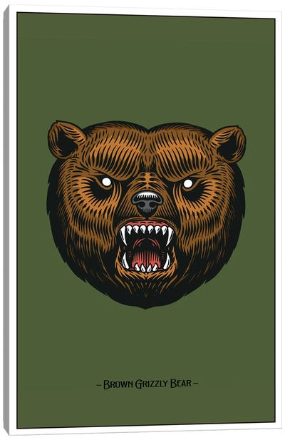 Brown Grizzly Bear Canvas Art Print - Grizzly Bear Art