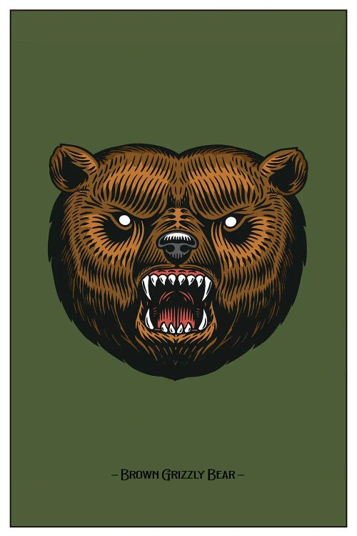 Brown Grizzly Bear