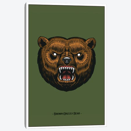 Brown Grizzly Bear Canvas Print #STY150} by Jay Stanley Canvas Print
