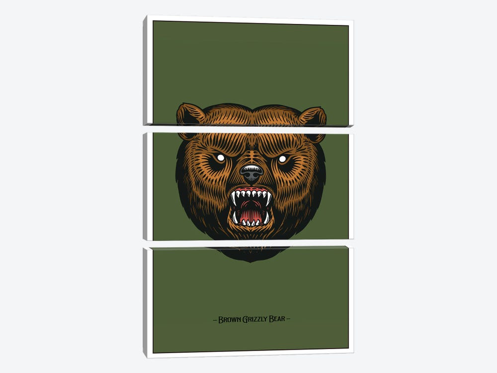 Brown Grizzly Bear by Jay Stanley 3-piece Canvas Wall Art