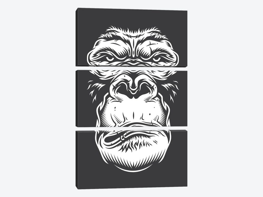 Close Up Ape by Jay Stanley 3-piece Canvas Artwork