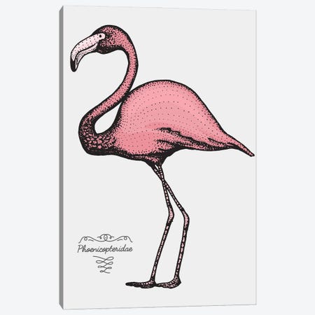 Pink Flamingo Print Vintage Dictionary Page Wall Art Picture Bird