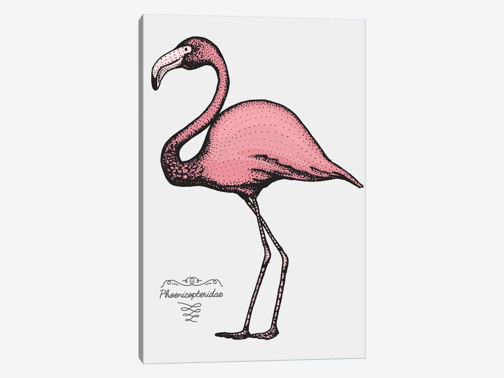 Flamingo by Jay Stanley 1-piece Canvas Art