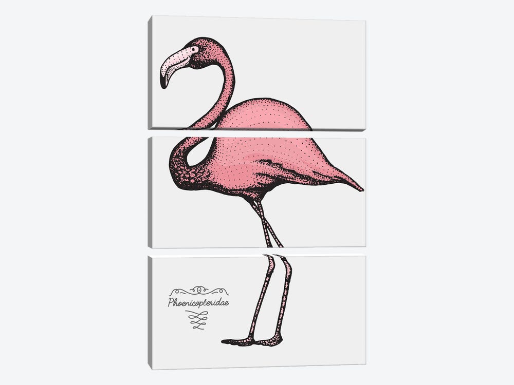 Flamingo by Jay Stanley 3-piece Canvas Artwork