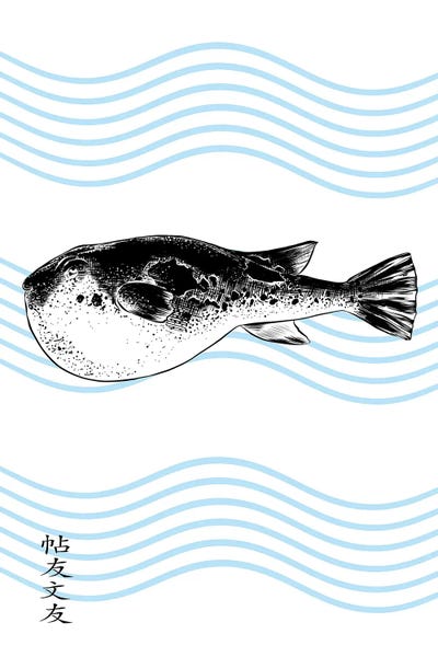 jay stanley: Fugu by jay stanley
