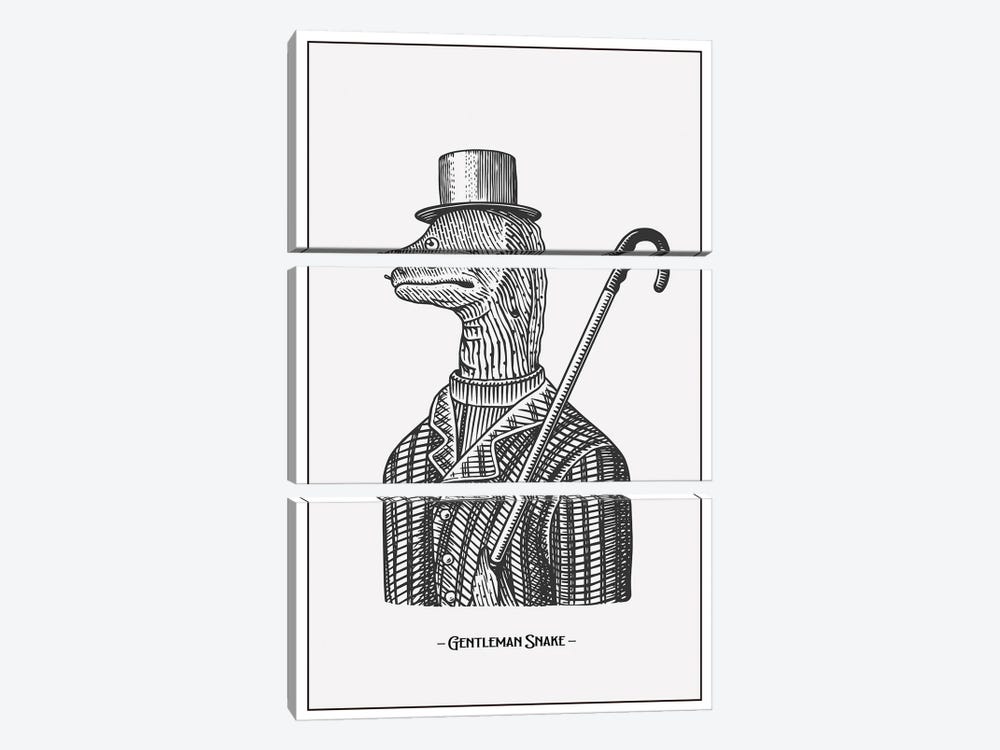 Gentlemen Snake by Jay Stanley 3-piece Canvas Print