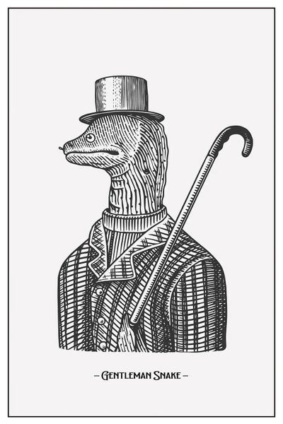 Snakes: Gentlemen Snake by jay stanley