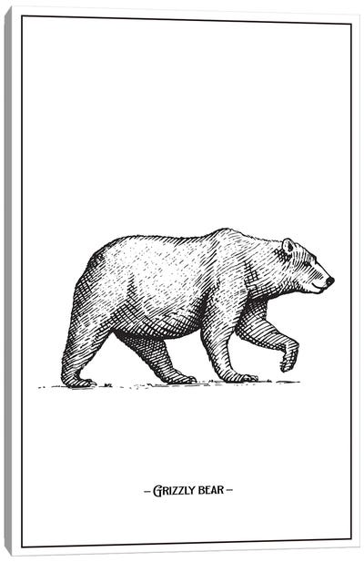 Grizzly Bear Canvas Art Print