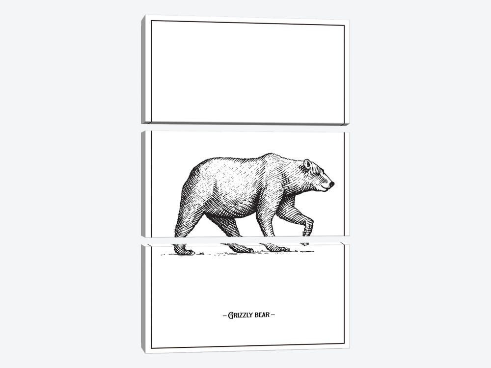 Grizzly Bear by Jay Stanley 3-piece Canvas Wall Art