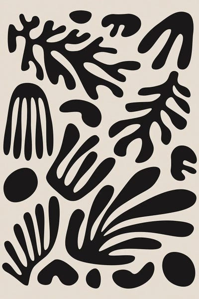 Matisse Black Algae Collection III by jay stanley framed canvas print