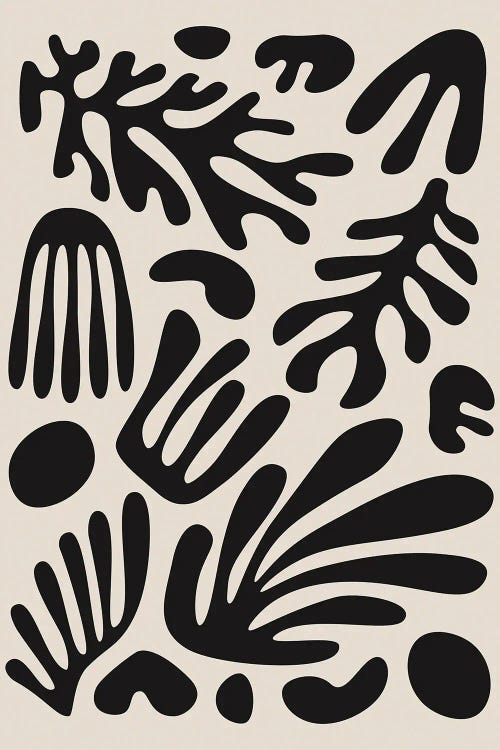 Henri Matisse Black Algae Collection III by Jay Stanley wall art