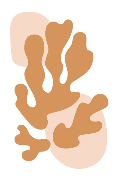 The Cut Outs Collection: Henri Matisse Collection II by jay stanley