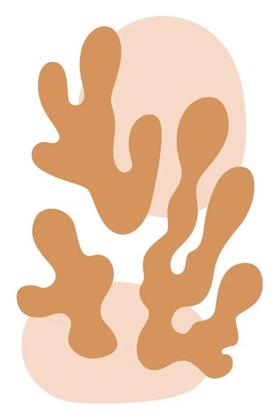 The Cut Outs Collection: Henri Matisse Collection VI by jay stanley