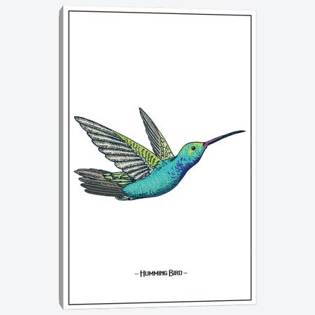 Humming Bird Canvas Print #STY260} by Jay Stanley Art Print