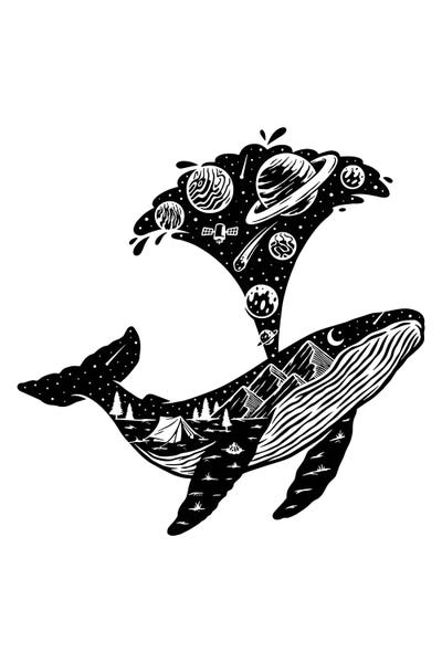 jay stanley: Humpback Universe by jay stanley