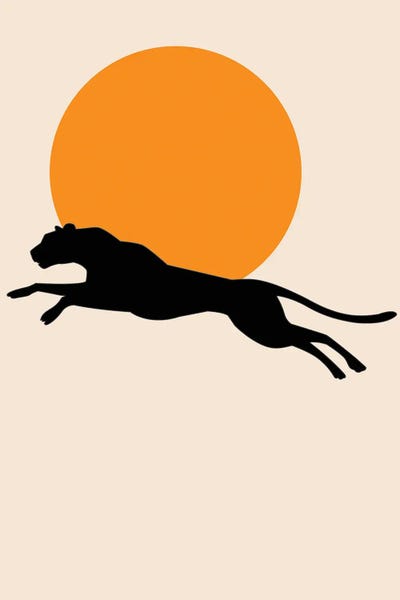 Leaping Leopard Sun Poster by jay stanley framed canvas print