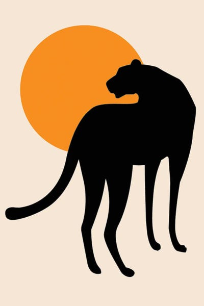 jay stanley: Leopard Sun Poster by jay stanley