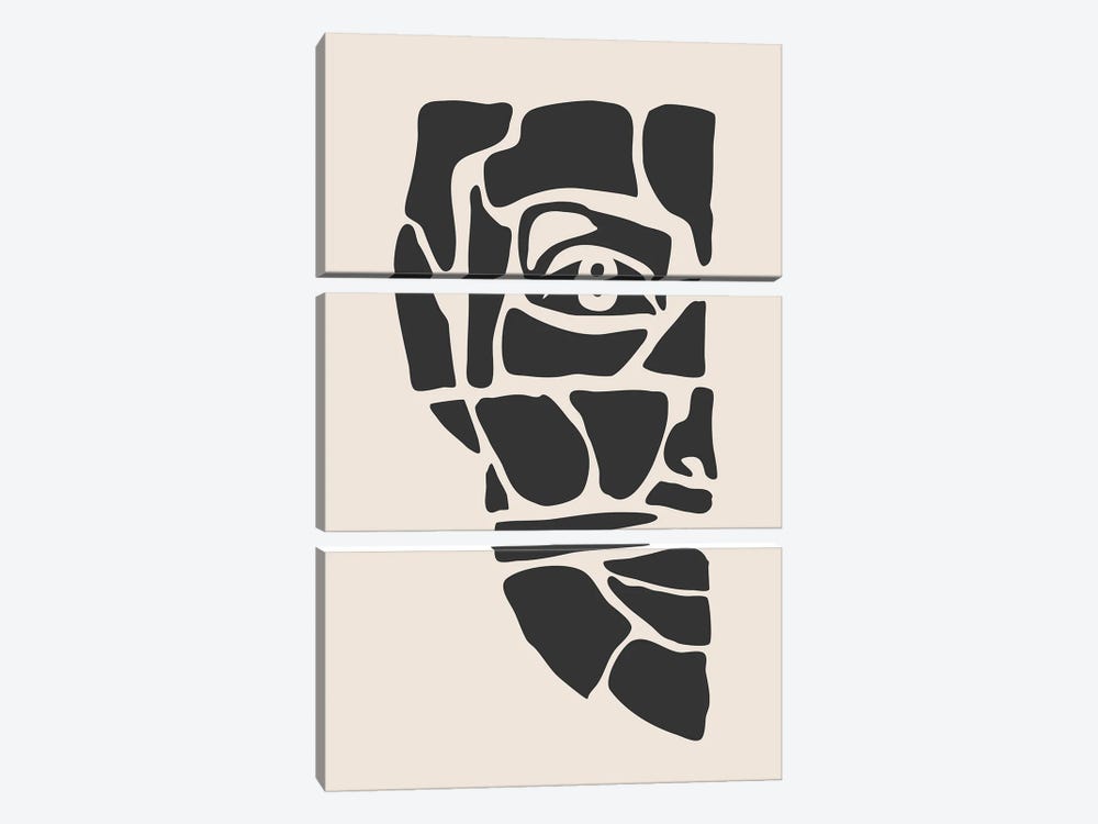 Abstract Face Series III by Jay Stanley 3-piece Canvas Wall Art