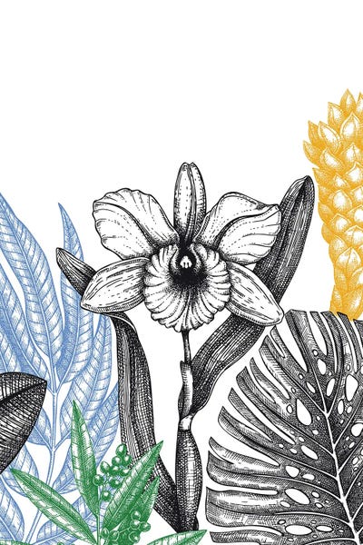 Daffodils: Minimalist Flower Vibes by jay stanley